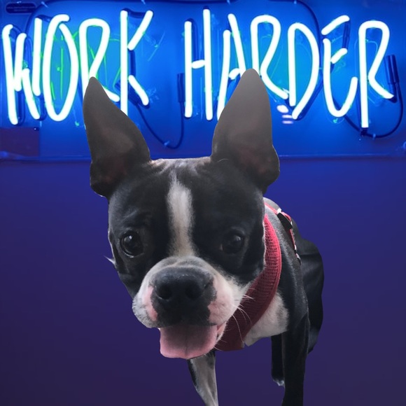 Other - LIVE SHOW NOTIFICATION!!! Let’s get some steals and deals!!